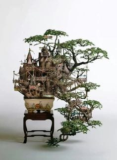terrarium bonsai - homes for sale lake city fl
