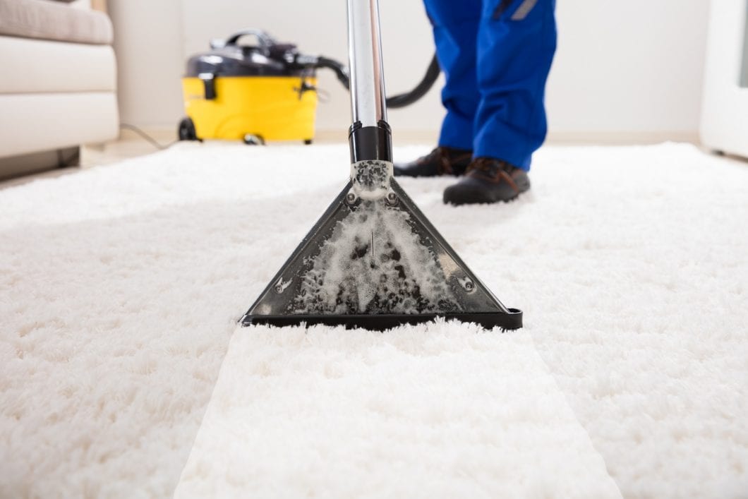 List of Carpet Cleaners in Lake City, FL Florida Land Network Leonard