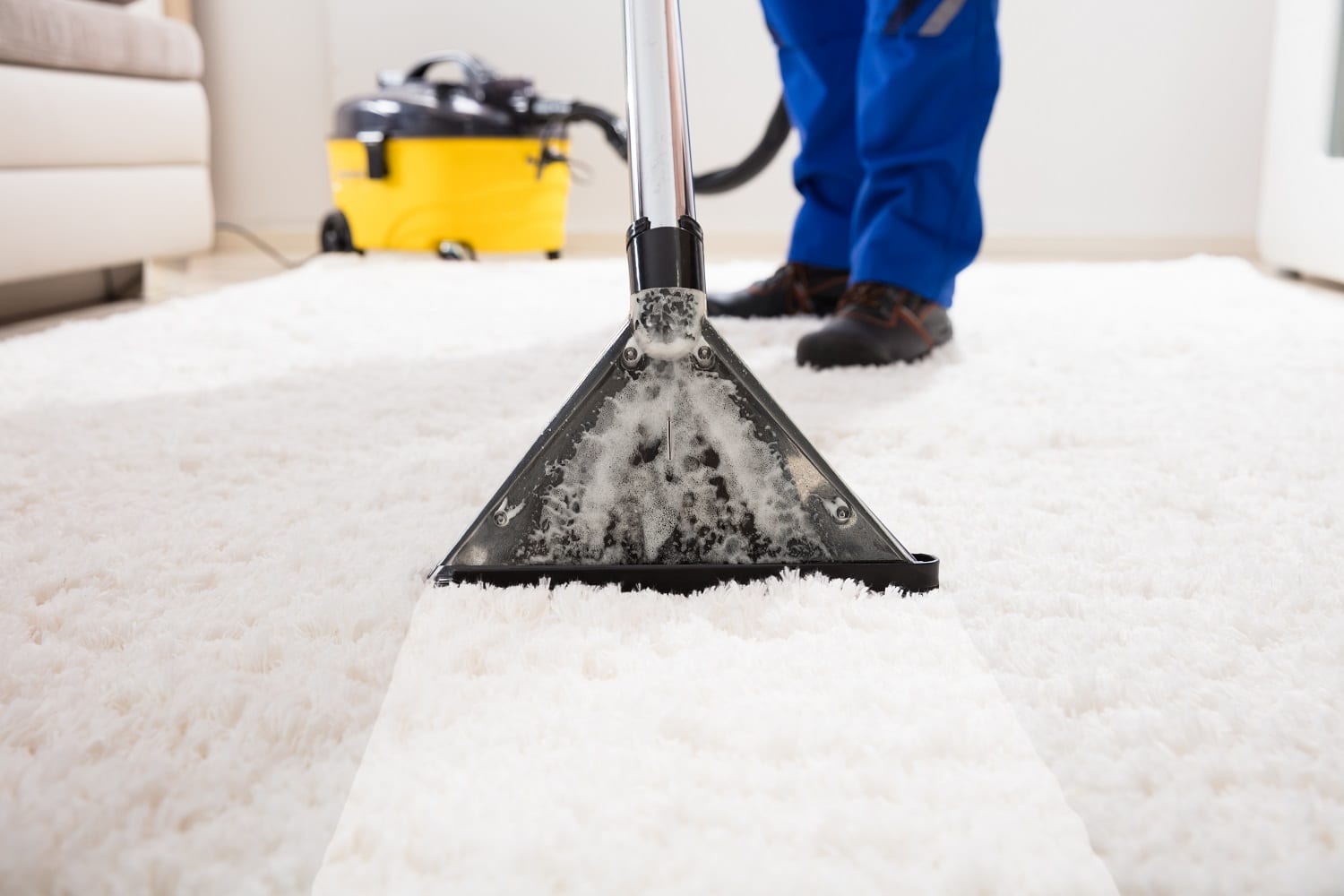 List of Carpet Cleaners in Lake City, FL