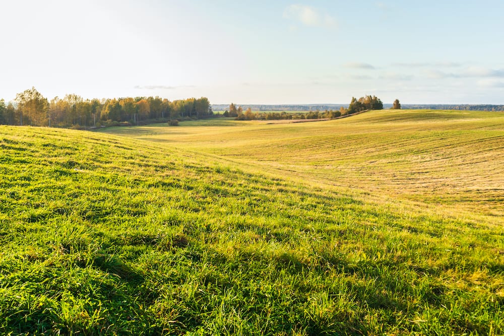 Is Farmland a Good Investment for 2021?