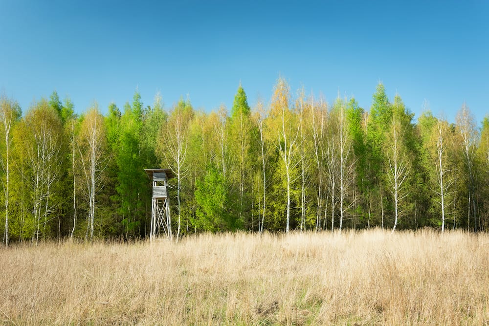 3 Things to Consider When You’re Buying Hunting Property in North Florida