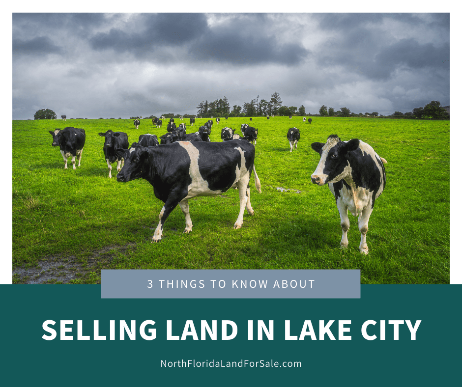 How to Sell Vacant Land in Lake City