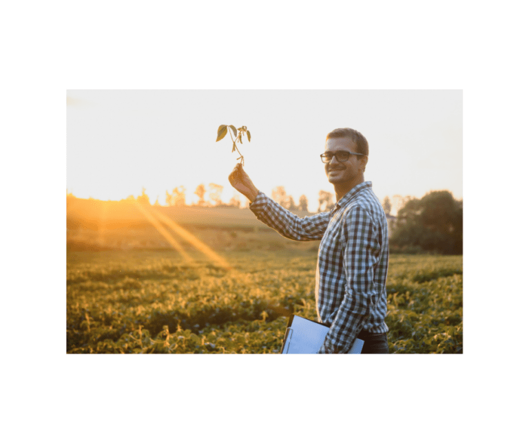 What Kinds of Crops Can You Grow if You Buy a Farm in North Florida