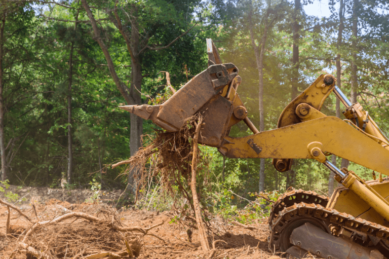 What Do Rising Interest Rates Mean For Buying Land Florida Land 