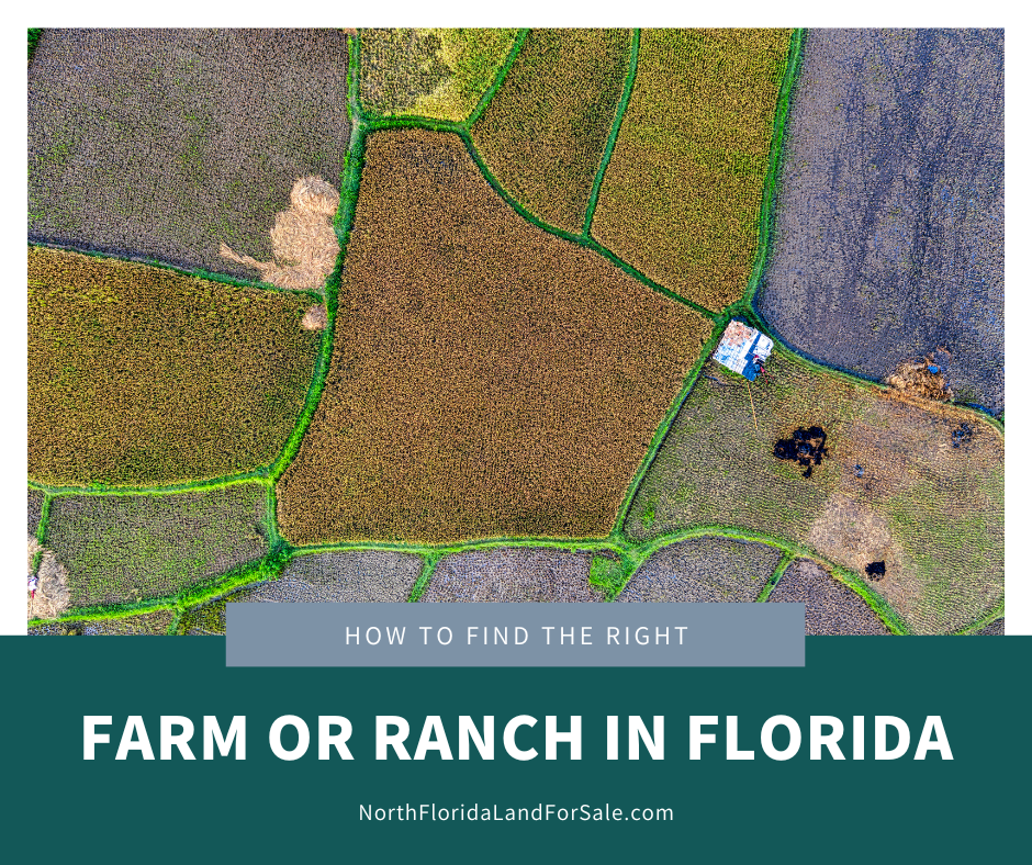 How to Find the Right Farm or Ranch for Your Business in North Florida