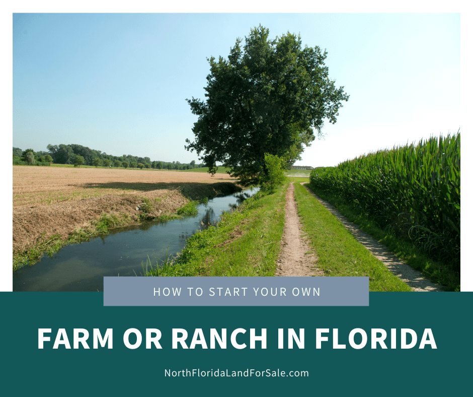 How to Start Your Own Farm or Ranch in North Florida