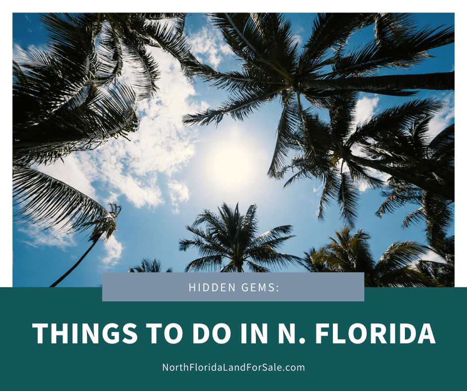 The Hidden Gems of North Florida: Places to Visit and Things to Do