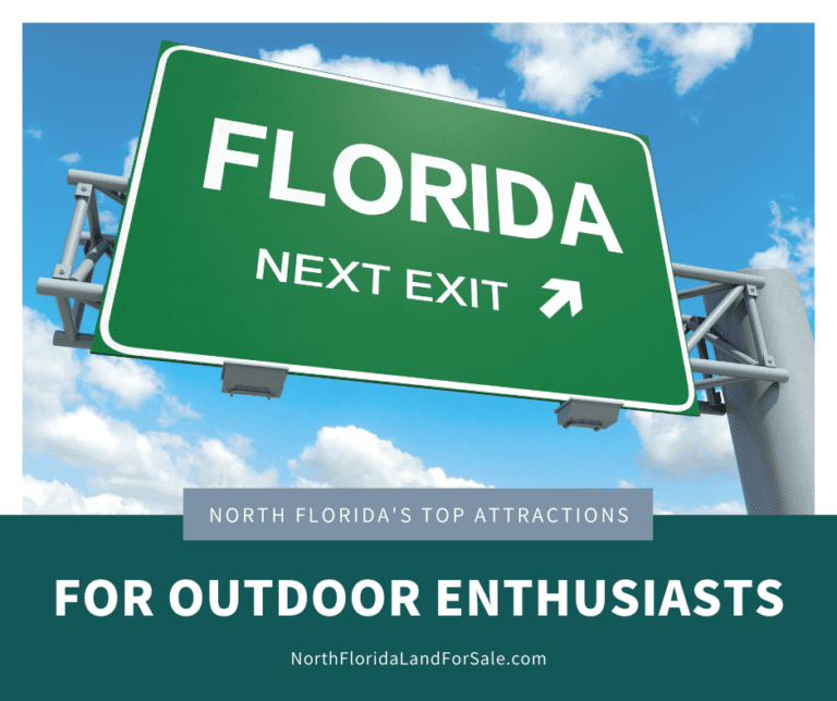The Top Attractions in North Florida for Outdoor Enthusiasts Florida
