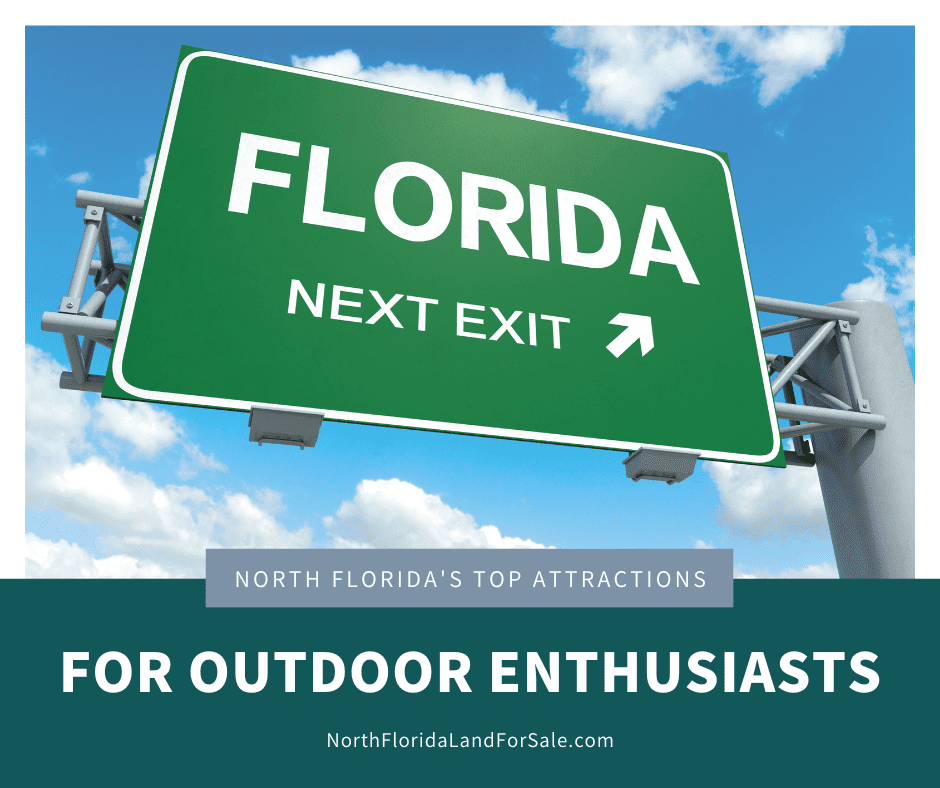 The Top Attractions in North Florida for Outdoor Enthusiasts