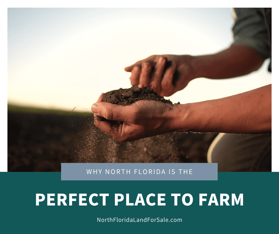 Why North Florida is the best place for your dream farm