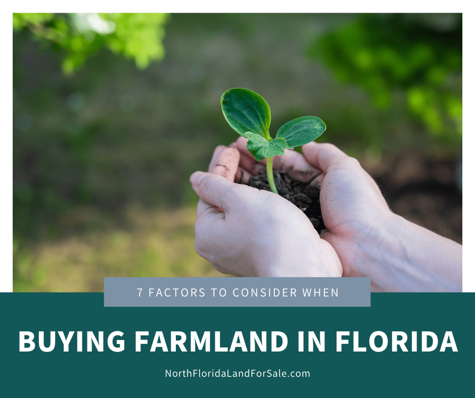 7 Factors to Consider When Buying Farmland in North Florida