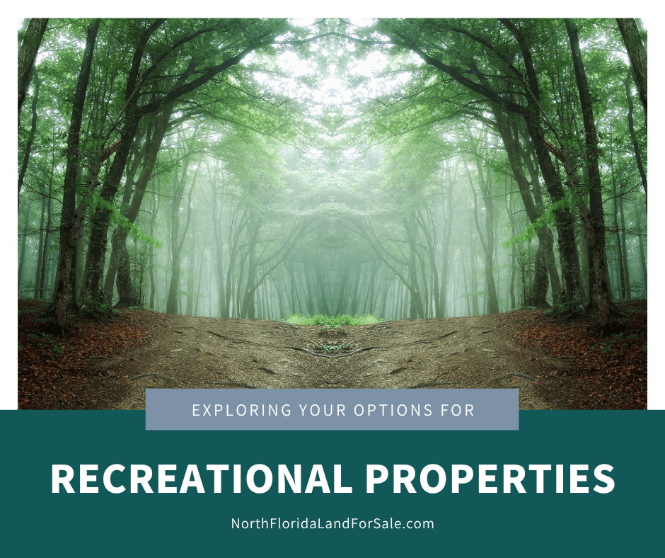 Exploring Recreational Property Opportunities in North Florida