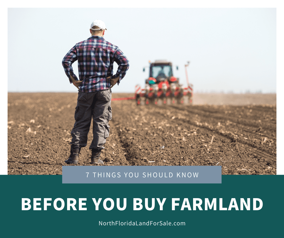 7 Things You Should Know Before You Buy Farmland in North Florida