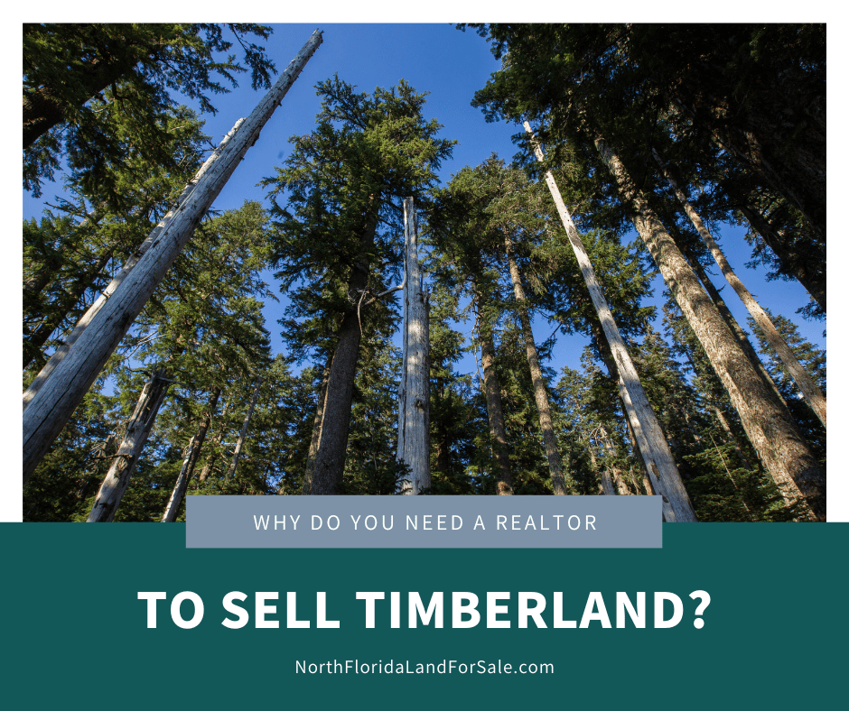 Should You Work With a REALTOR® to Sell Your Timberland