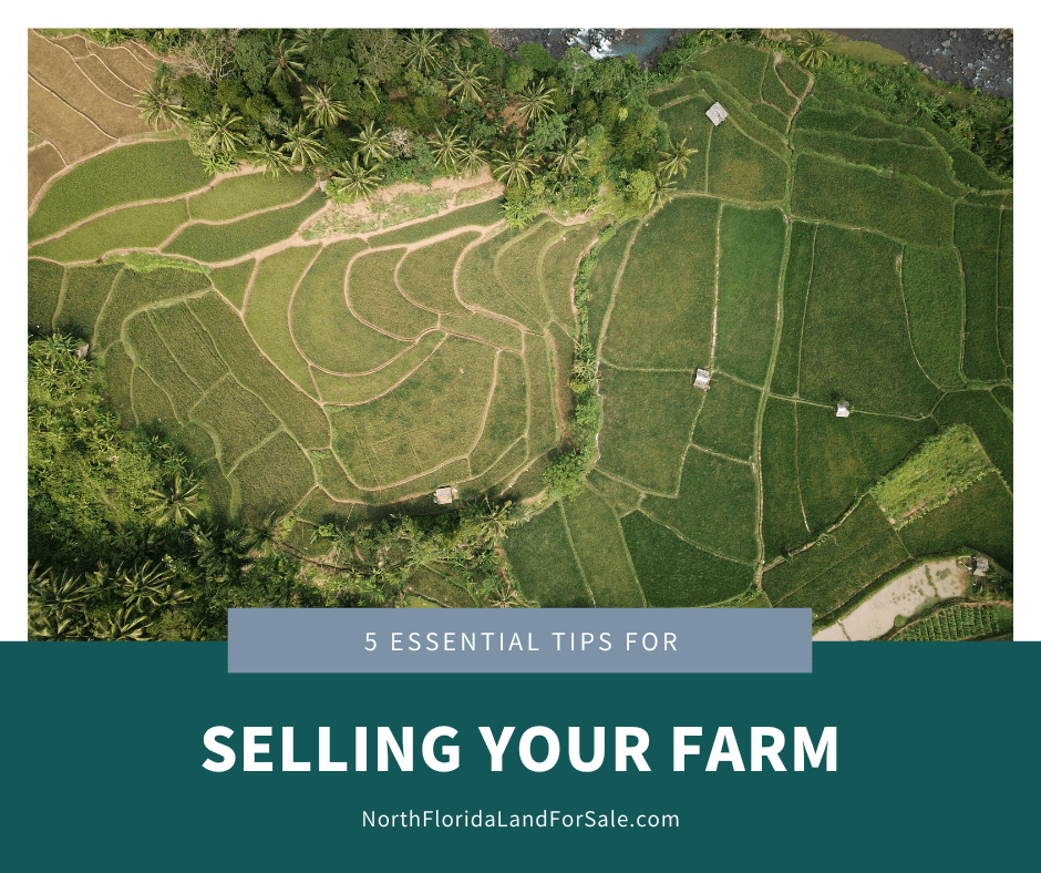 5 Essential Tips for Selling Your North Florida Farm