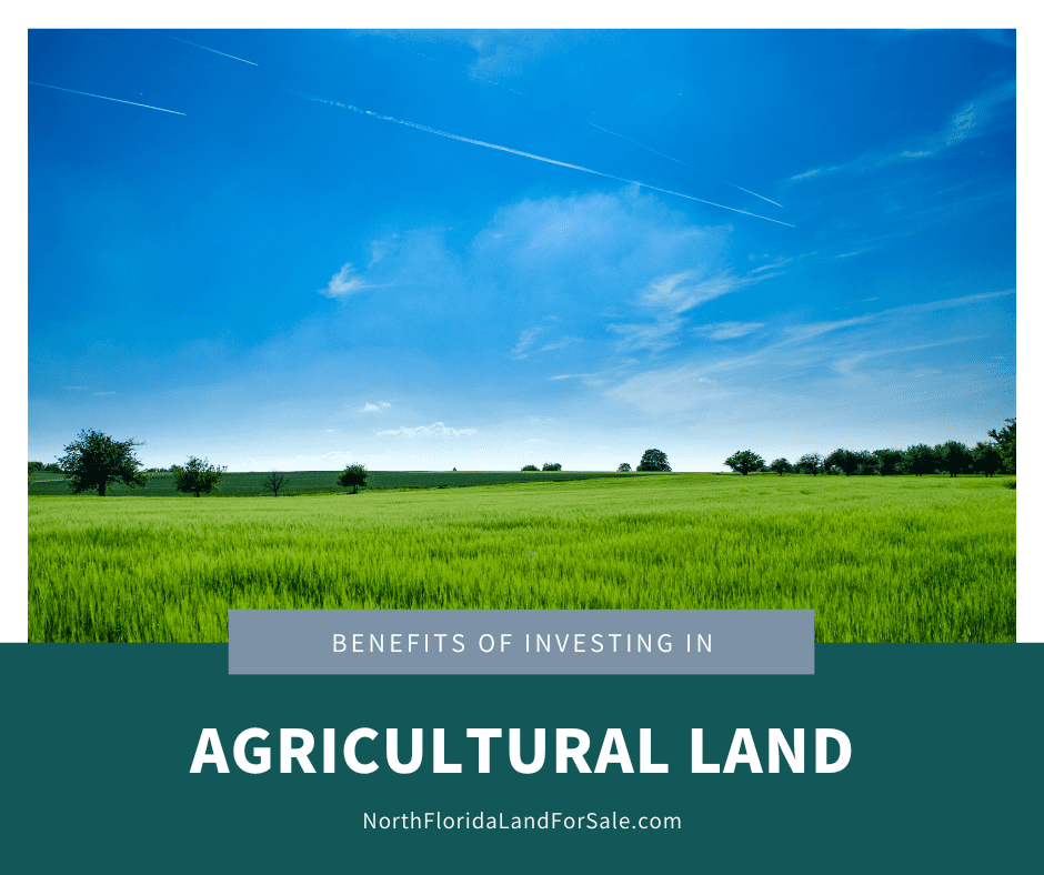 Benefits of Investing in Agricultural Land in North Florida