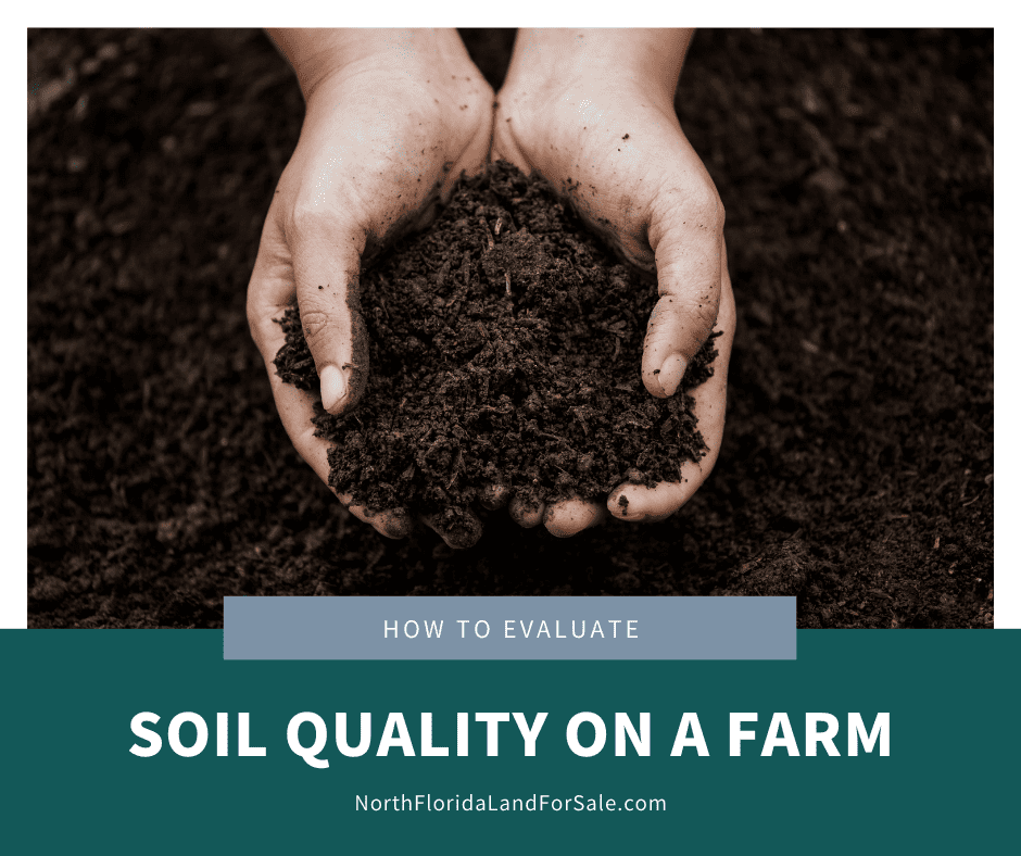 How to Evaluate the Soil Quality on a Farm