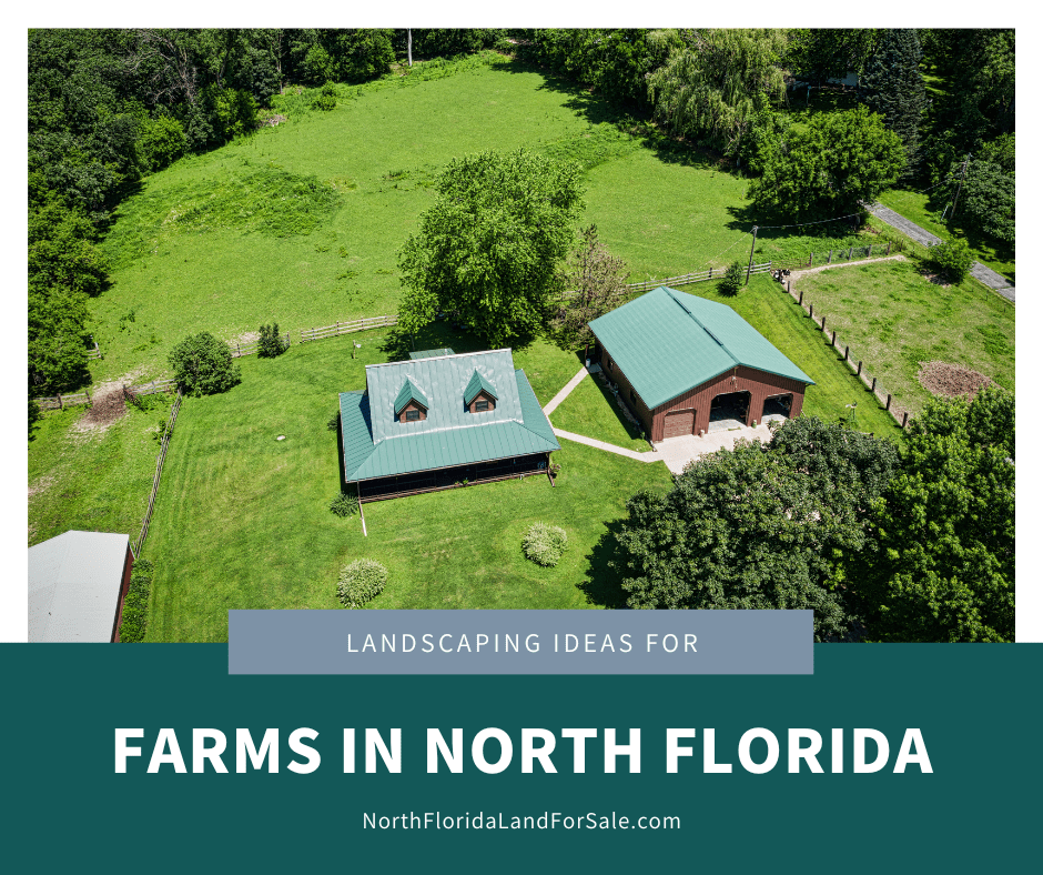 Landscaping Ideas for Farms in North Florida: Creating the Perfect Rural Oasis