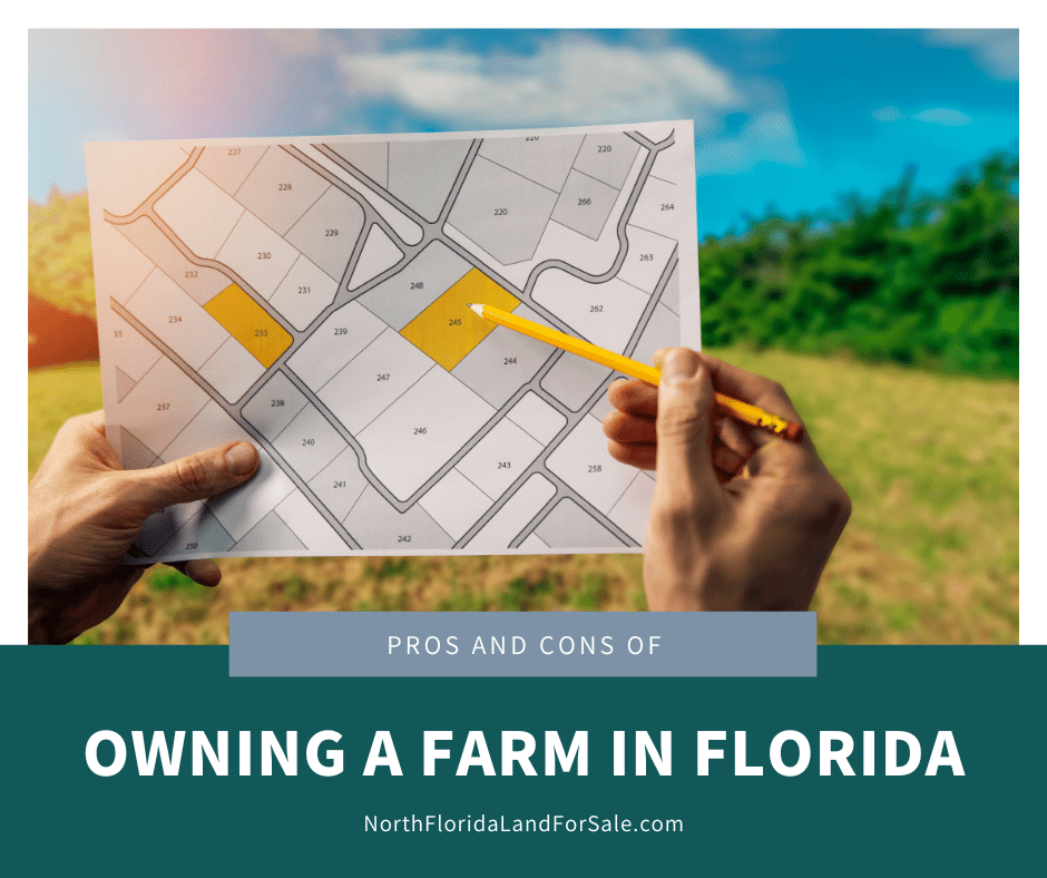 Pros and Cons of Owning a Farm in North Florida