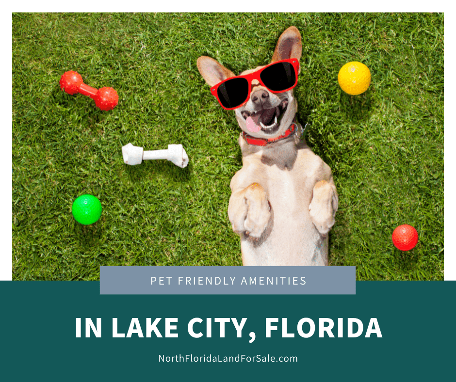 Pet-Friendly Amenities, Parks and Recreational Areas for Pets in Lake City