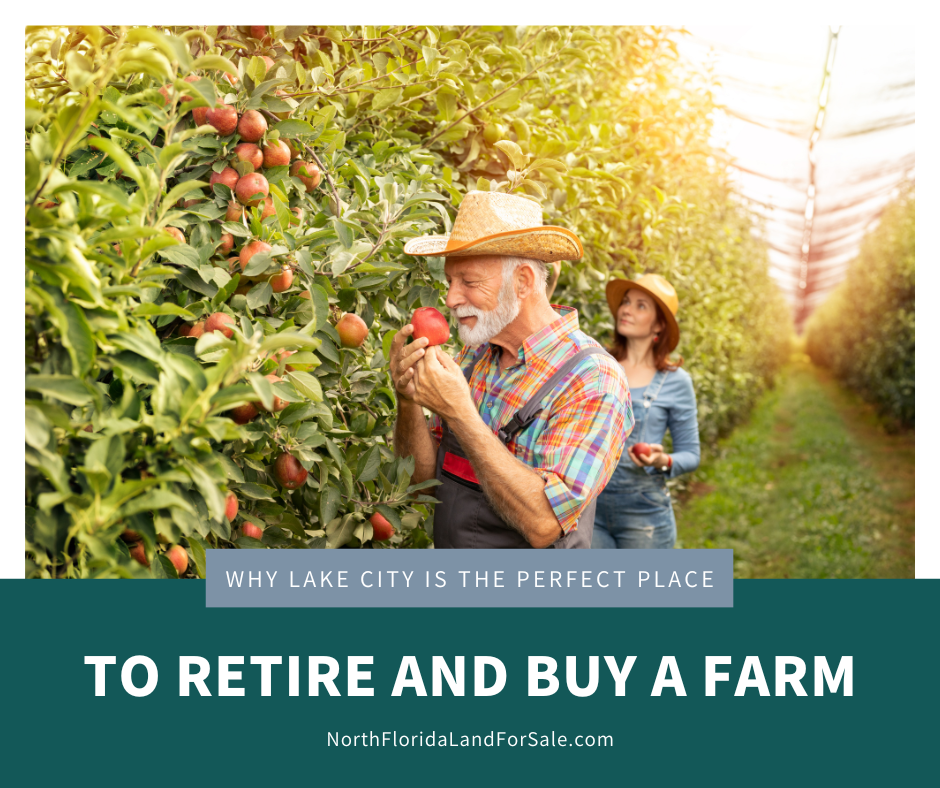 Why Lake City is the Perfect Place for You to Retire and Buy a Farm
