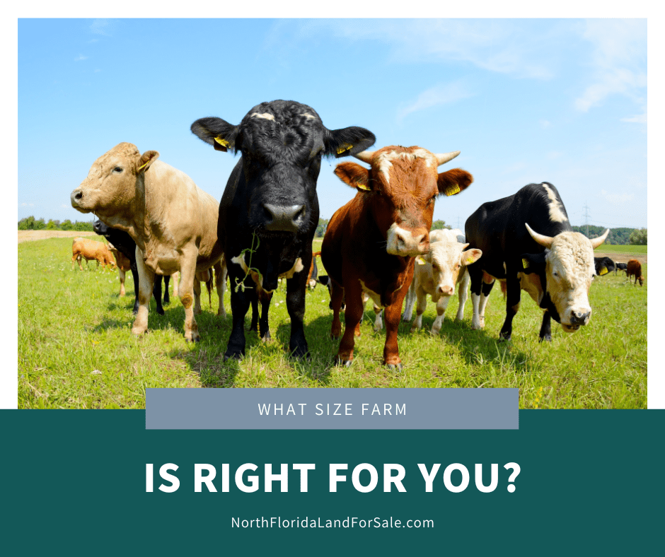 What size farm is right for you?
