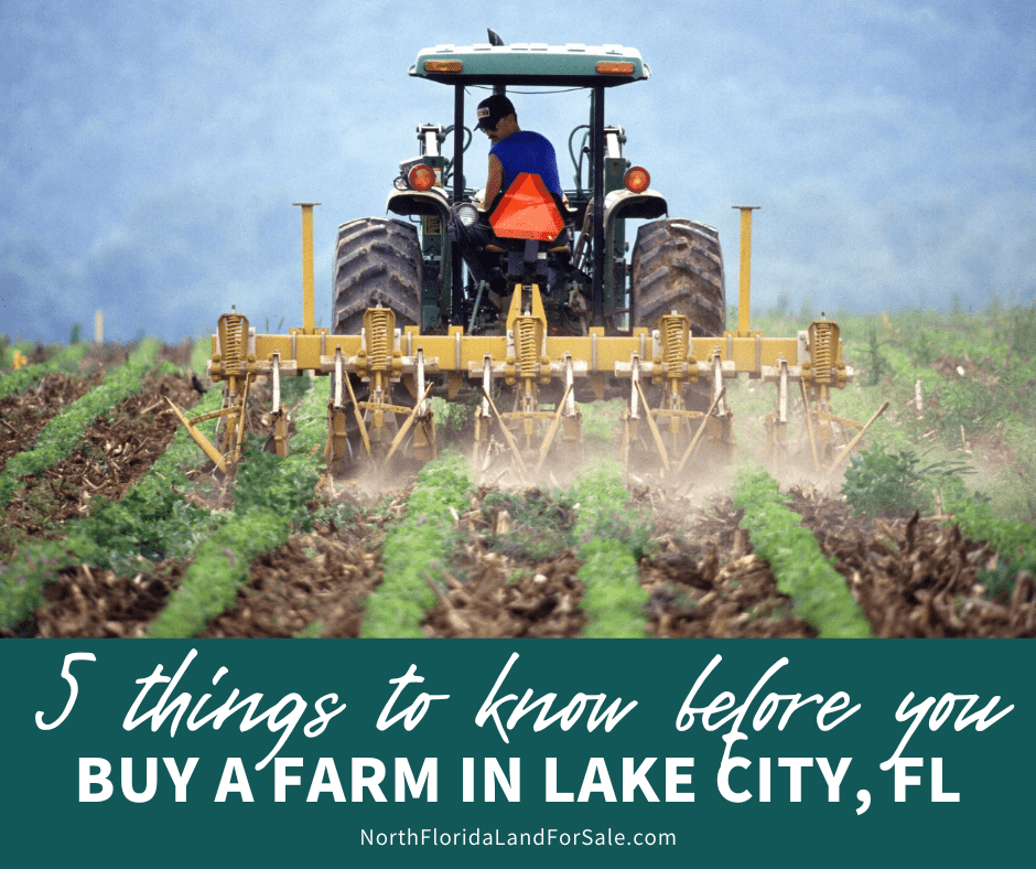 5 Things You Need to Know Before You Buy a Farm in Lake City