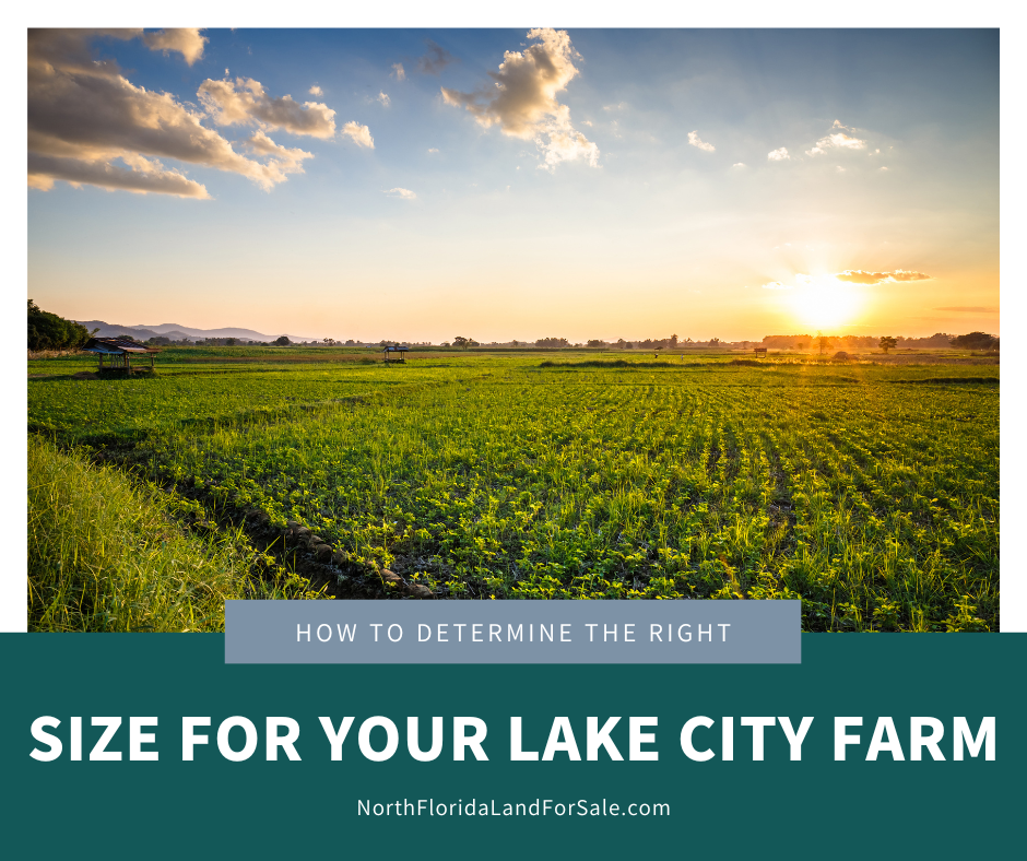 How to Determine the Ideal Size for Your Farm in North Florida