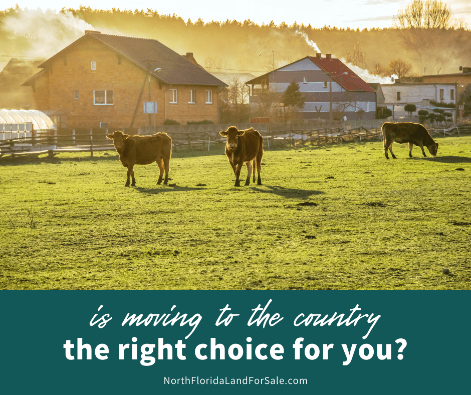 Is Moving to the Country the Right Choice for You?