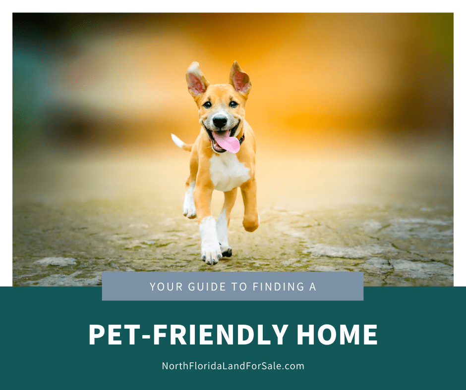 The Ultimate Guide to Finding a Pet-Friendly Home in North Florida