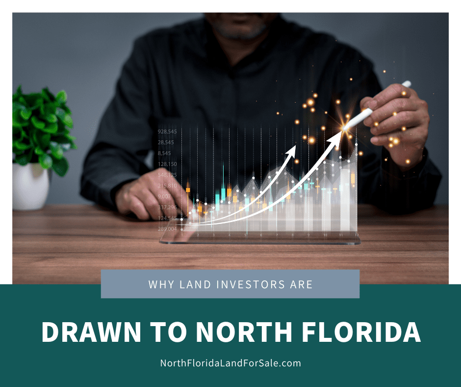 Why Land Investors Are Drawn to North Florida