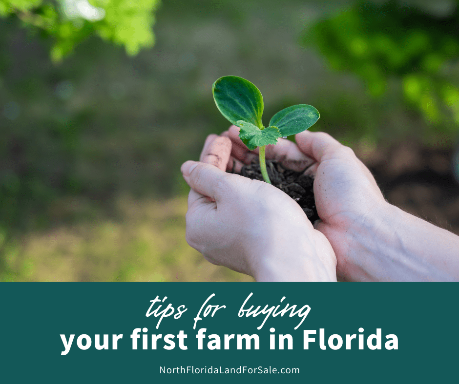Tips for Buying Your First Farm