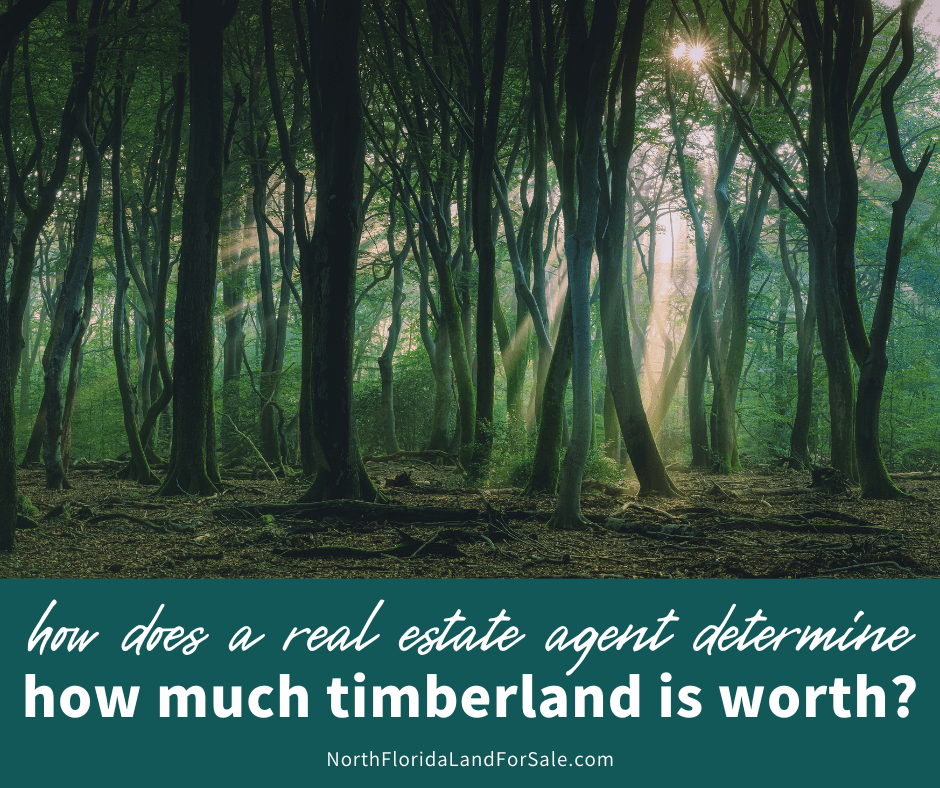 How Does a Real Estate Agent Determine How Much Timberland is Worth?