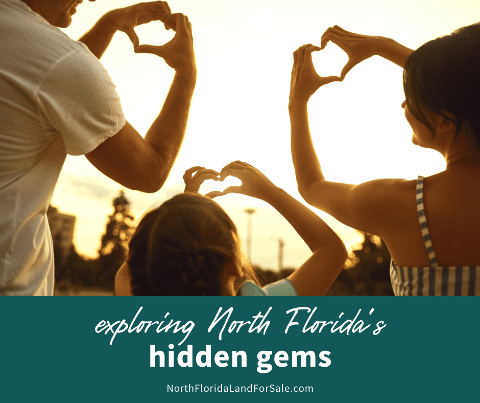 Exploring North Florida's Hidden Gems: All the Best Attractions