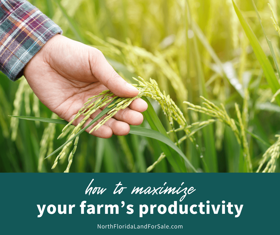 How to Maximize Your Farm's Productivity in North Florida