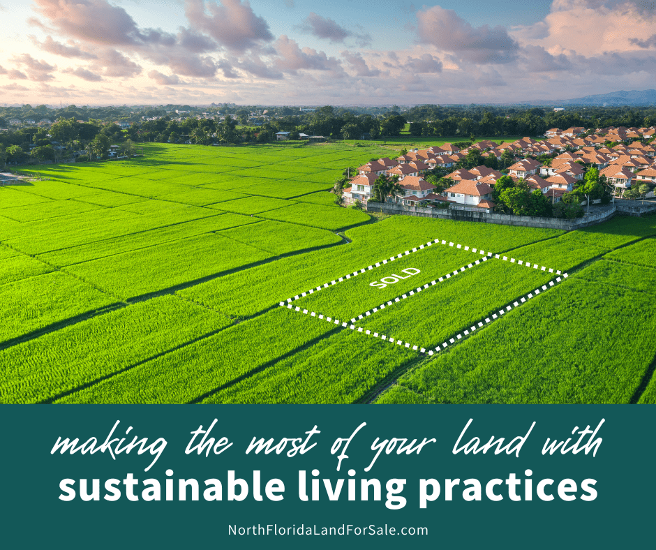 Sustainable Living in North Florida: How to Make the Most of Your Land