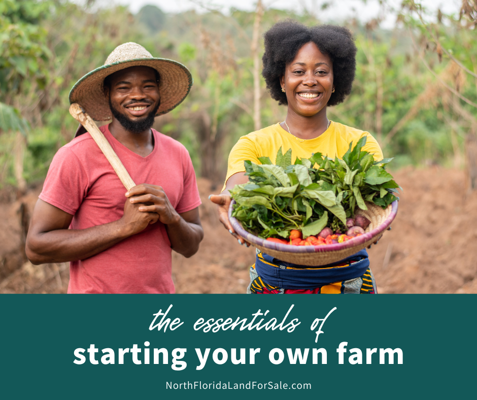 The Essentials of Starting Your Own Farm in Lake City