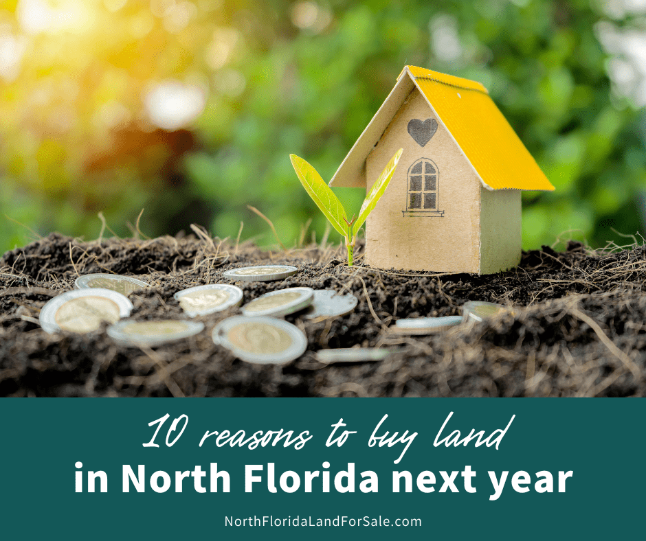 10 Reasons to Buy Land in North Florida Next Year
