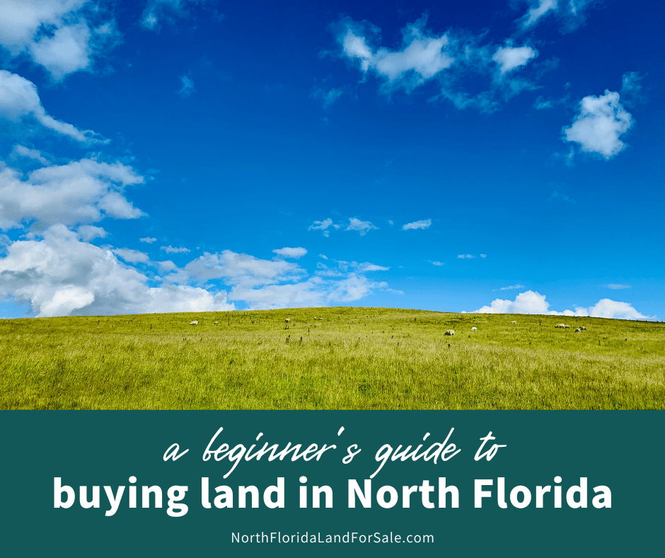 A Beginner's Guide to Buying North Florida Land