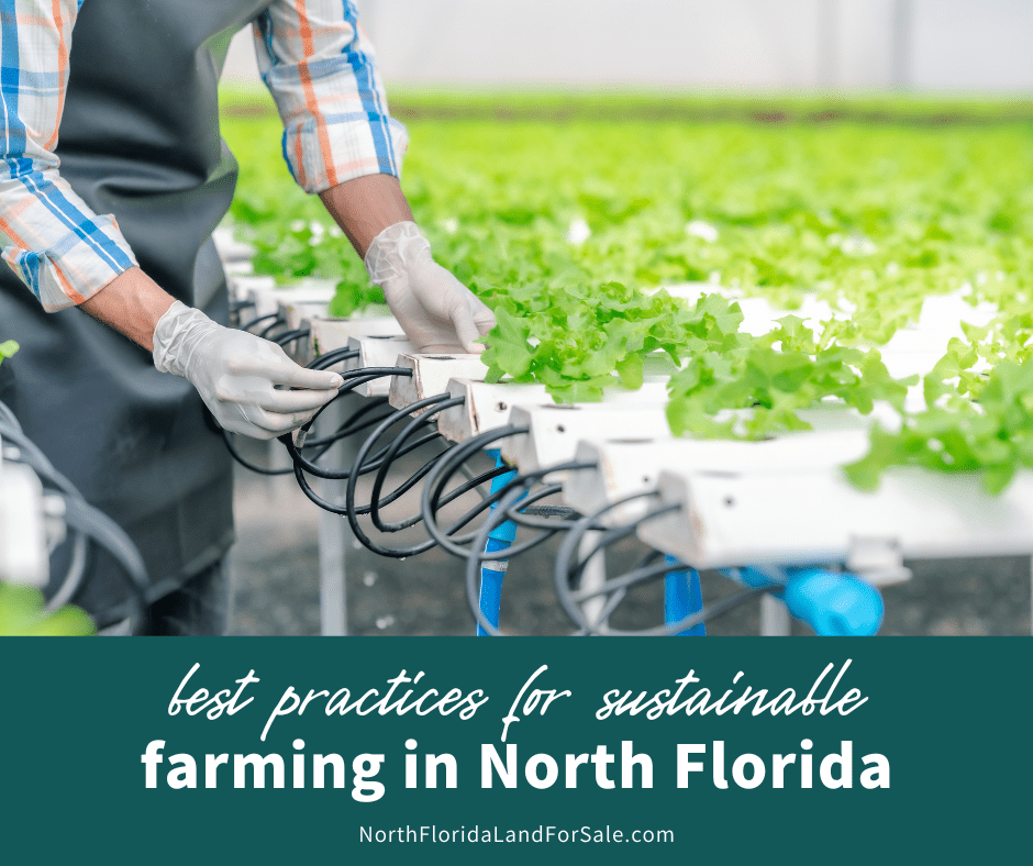Best Practices for Sustainable Farming on North Florida Acreage