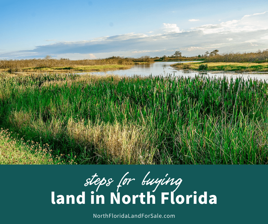 Essential Steps for Buying Land in Rural North Florida
