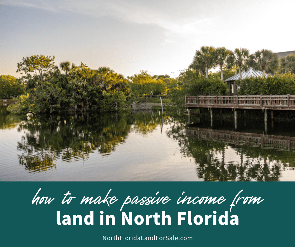How to Make Passive Income from Your North Florida Land
