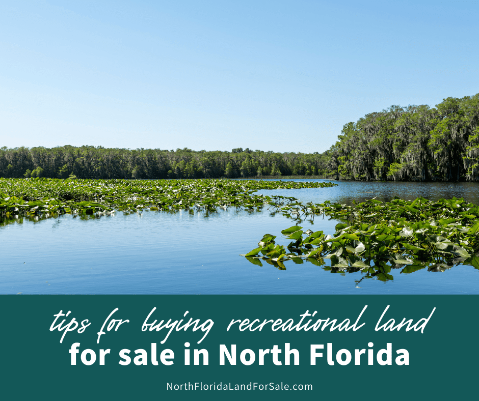 Tips for Purchasing Recreational Land in North Florida