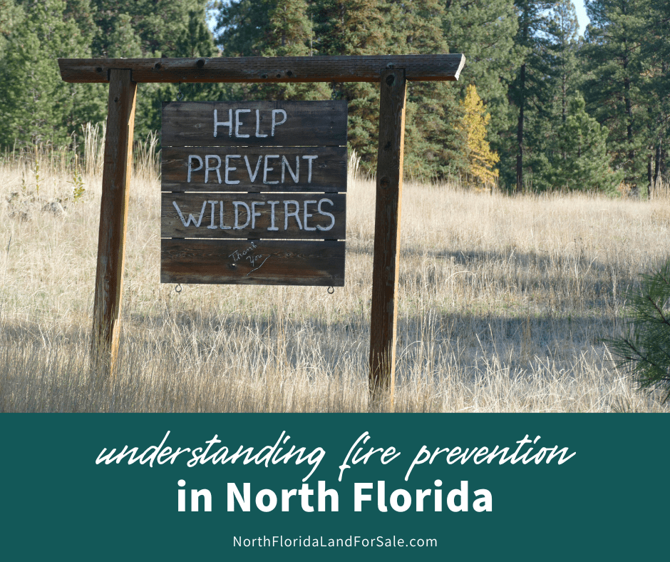 Understanding Fire Prevention on Forested Land in North Florida