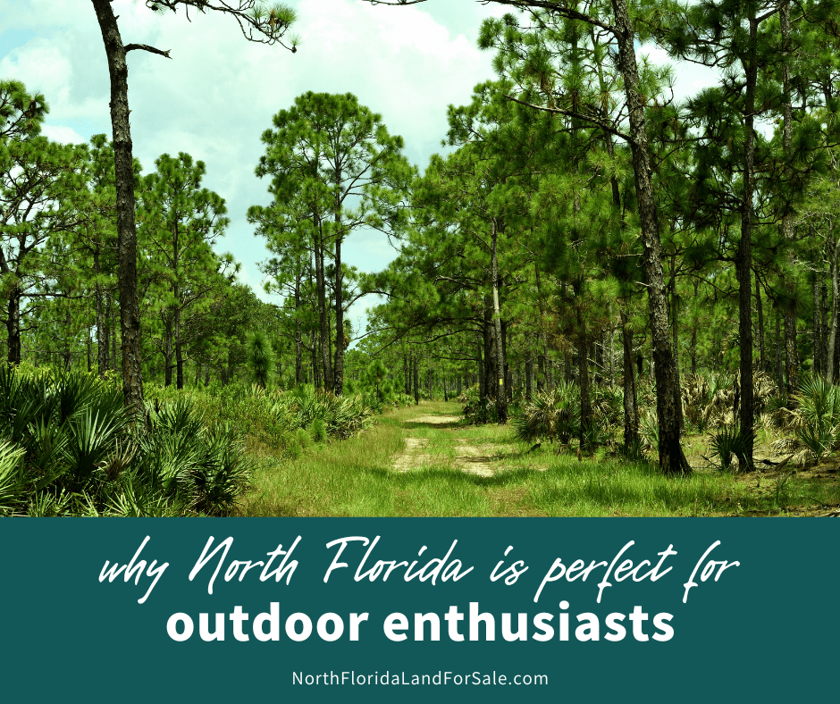 Why North Florida Land is a Smart Choice for Outdoor Enthusiasts