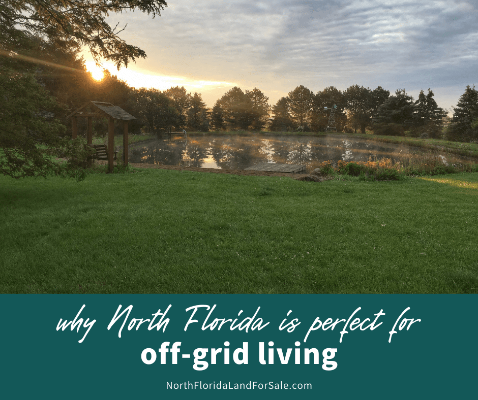 Why North Florida is Perfect for Off-Grid Living