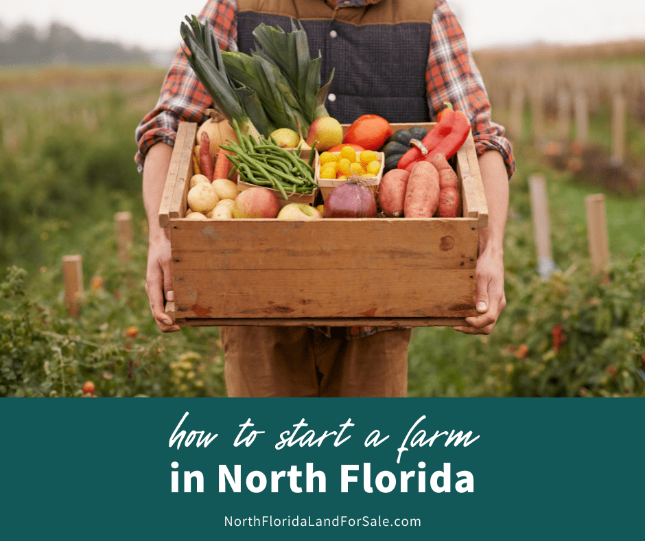 How to Start a Farm in North Florida