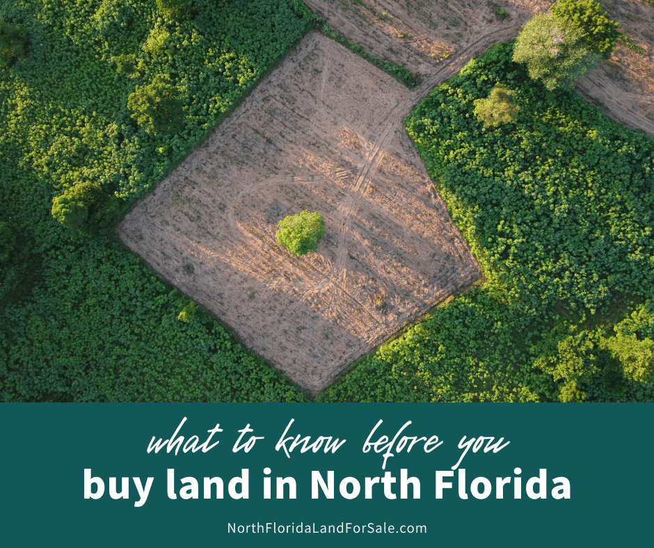 What to Know Before Buying Land in North Florida