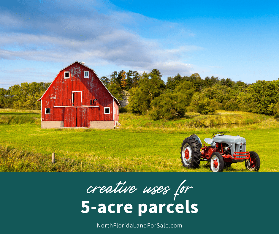 Creative Uses for 5-Acre Parcels With Barns, Creeks, and Wildlife in Lake City
