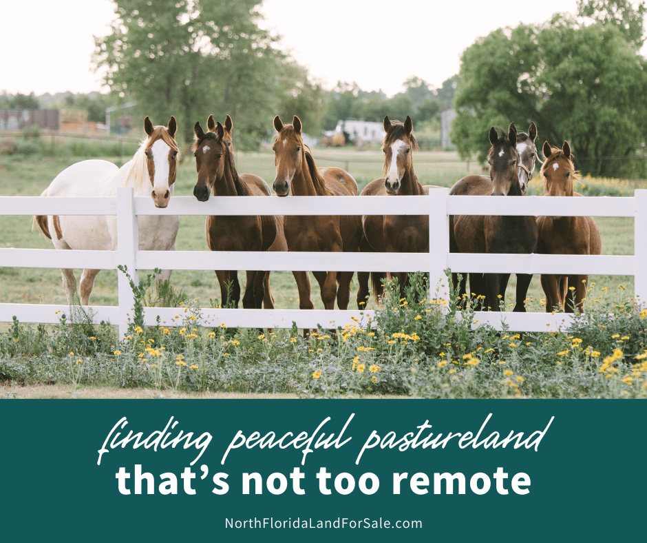 Finding Peaceful Pastureland That's Not Too Remote